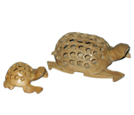 Wooden Animal - Tortoise